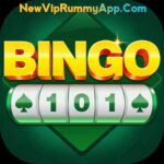 BINGO101